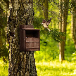 Relaxdays Rotkehlchen-Nistkasten aus Holz für Wildvögel in Braun – Bild 1 von 7