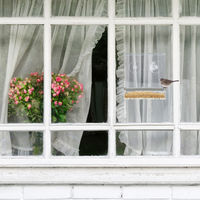Produktbild von Relaxdays Vogelfutterhaus aus transparentem Kunststoff für die Fensterscheibe