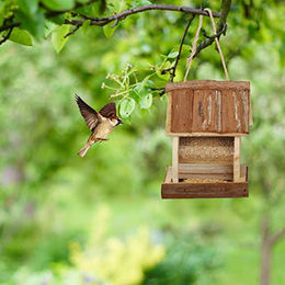 Relaxdays Vogelhaus aus Holz zum Aufhängen in Natur Braun – Bild 1 von 4