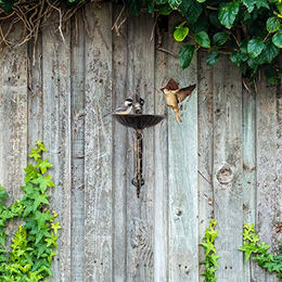 Relaxdays Vogeltränke aus Gusseisen mit Welcome Schild in Bronze zur Wandmontage als Futterstelle und Wasserschale für Wildvögel – Bild 1 von 4