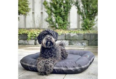 RelaxXL Orthopädisches Hundekissen Luna M Schwarz für große Hunde mit Viscoschaum und Outdoor-Gewebe – Bild 1 von 5