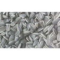 Produktbild von ReNatura Gestreifte Sonnenblumenkerne Wintervogelfutter für Wildvögel 25 kg - 25 kg
