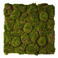 Produktbild von Repiterra 3D-Terrarien-Rückwand für Reptilien mit Moos-Design in Grün klein