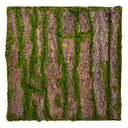 Repiterra 3D Terrarium Rückwand Rinde Design aus Kunststoff für Terrarientiere 60x60cm – Bild 1 von 3