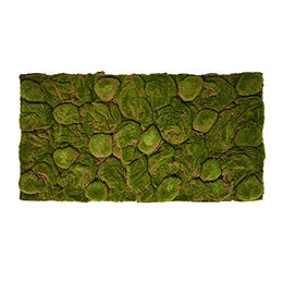 REPITERRA Terrarium 3D Rückwand mit Naturlook Moos in Grün 116x58cm für 120x60cm Terrarien – Bild 1 von 4