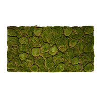 Produktbild von REPITERRA Terrarium 3D Rückwand mit Naturlook Moos in Grün 116x58cm für 120x60cm Terrarien