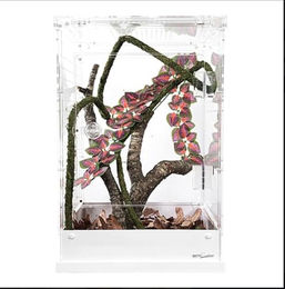Repti Zoo Hochterrarium Brutterrarium Acryl weiß 30,5x30,5x45cm – Bild 1 von 1
