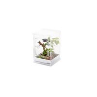 Produktbild von Repti Zoo Knock-Down Acryl Hochterrarium Brutterrarium weiß 20,5x20,5x30,5cm