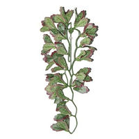 Produktbild von REPTI ZOO Kunststoffpflanze VAR marginatum Grün 30 cm