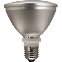 Produktbild von Reptile Systems Infrarotlampe Ecogen Keramik Glühbirne für Terrarien und Aquarien 25W