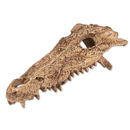 Reptiles Planet Alligator-Schädel Versteck aus Kunstharz für Reptilien in Beige – Bild 1 von 7
