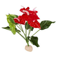 Produktbild von Reptiles Planet Anthurium Pflanze auf Sockel Rot 33 cm