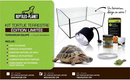 Produktbild von Reptiles Planet Buntes Aquarien-Zubehör aus Glas für Schildkröten