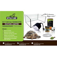 Produktbild von Reptiles Planet Buntes Aquarien-Zubehör aus Glas für Schildkröten