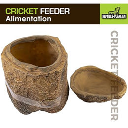 Reptiles Planet Cricket-Futterstation für Reptilien aus Kunstharz Braun 9 x 9 x 10,5 cm – Bild 1 von 7
