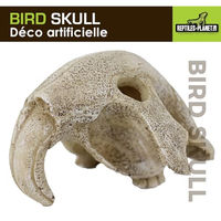 Produktbild von Reptiles-Planet Deko Vogelschädel Höhle aus Kunstharz für Echsen und Schlangen