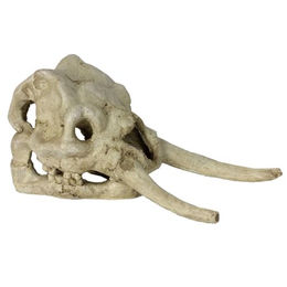 Reptiles-Planet Habitat-Dekoration Kranich-Dinosaurierschädel Höhle aus Kunstharz für Reptilien und Amphibien 22cm x 11cm x 12,5cm – Bild 1 von 8