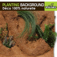 Produktbild von Reptiles Planet Habitat-Dekoration Rückwand aus Naturmaterial Braun 30 x 30 x 1 cm
