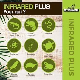 Reptiles-Planet Infrared Plus Halogenlampe 150W Infrarotlampe für Reptilien wie Echsen und Schildkröten - 150 Stk. – Bild 1 von 6