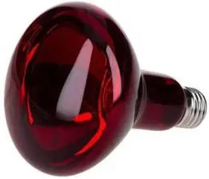 Produktbild von Reptiles Planet Infrarotlampe 50 W für Reptilien