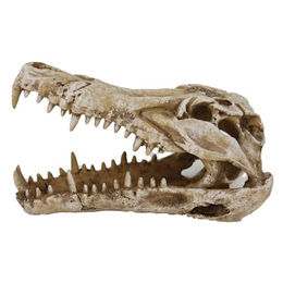 Reptiles-Planet Kaimanschädel offene Höhle aus Kunstharz für Echsen und Schlangen in Beige – Bild 1 von 7