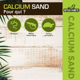 Reptiles Planet Kalzium-Sand Weiß 5kg für Reptilien - 5 kg – Bild 1 von 3