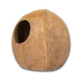 Reptiles Planet Kokoshöhle aus Kokosnuss als natürliches Versteck für kleine Tiere in Braun – Bild 1 von 3