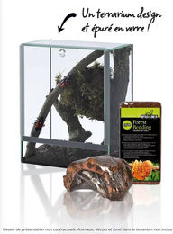 Produktbild von Reptiles Planet Kokossubstrat für Insekten Braun