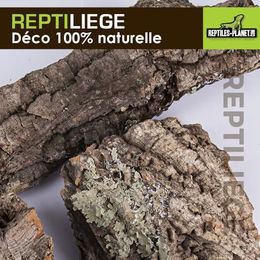 Reptiles-Planet Kork Rindenmulch für Reptilien 10 l - 10 l – Bild 1 von 4