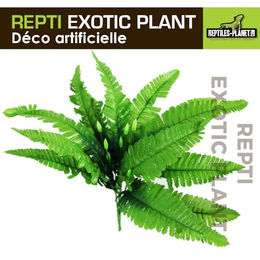 Reptiles-Planet Künstliche Terrarium-Pflanze Tropical Nephnolepis Cordifoolia Presle aus Stoff in Grün – Bild 1 von 6