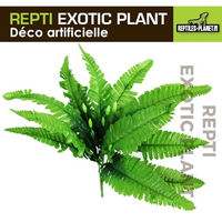 Produktbild von Reptiles-Planet Künstliche Terrarium-Pflanze Tropical Nephnolepis Cordifoolia Presle aus Stoff in Grün