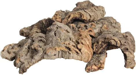 Reptiles Planet Liège – Bild 1 von 1