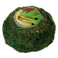 Produktbild von Reptiles Planet Mooskugel Grün für Reptilien Terrarien 1000g