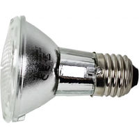 Produktbild von Reptiles Planet Neo Day Halogen Reflektor für Reptilien in Silber und Weiß