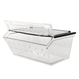 Reptiles Planet Premium Aufzuchtbox für Reptilien Insekten und Frösche aus Kunststoff transparent stapelbar 24x16,5x10,5cm – Bild 1 von 4
