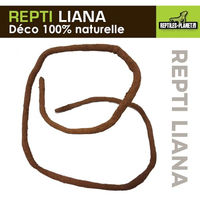 Produktbild von Reptiles Planet Repti Liana Terrarium Deko aus Naturmaterial mit Kokosnuss Braun 125 cm