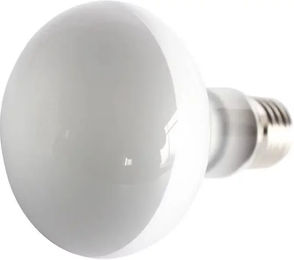Produktbild von Reptiles Planet Repti UVA Tageslichtlampe für Reptilien 75W Weiß