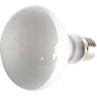 Produktbild von Reptiles Planet Repti UVA Tageslichtlampe für Reptilien