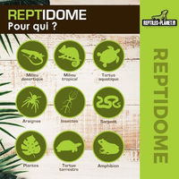 Produktbild von Reptiles Planet Reptidome Beleuchtungshalterung mit Reflektor für Reptilien D 22 x H 24 cm