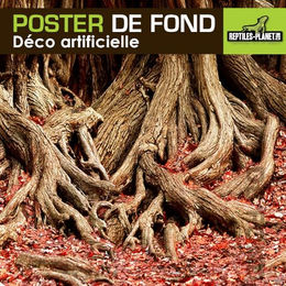 Reptiles Planet Rückwand Poster Amazonian Tree Roots für Chamäleons 15 m x 50 cm bunt – Bild 1 von 7