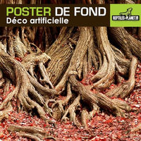 Produktbild von Reptiles Planet Rückwand Poster Amazonian Tree Roots für Chamäleons 15 m x 50 cm bunt