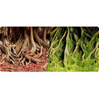 Produktbild von Reptiles Planet Rückwand Poster Amazonian Tree Roots für Reptilien und Amphibien 15 Meter Rolle