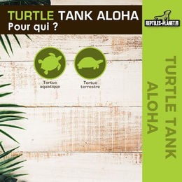 Produktbild von Reptiles-Planet Schildkröte Panzer Aloha aus Kunststoff XL Bunt