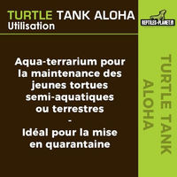 Produktbild von Reptiles-Planet Schildkrötenpanzer Aloha aus Kunststoff bunt