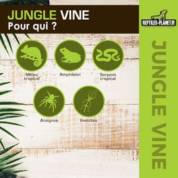 Reptiles Planet Serengeti Jungle Vine Liane aus Polyester für Terrarien 2,6 m Grün – Bild 1 von 5