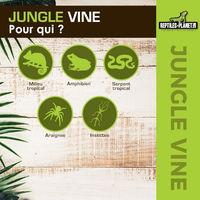 Produktbild von Reptiles Planet Serengeti Jungle Vine Liane aus Polyester für Terrarien 2,6 m Grün