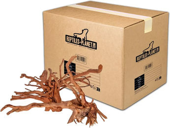 Produktbild von Reptiles Planet Spinnenwurzel aus Holz für Süßwasser-Aquarien Braun