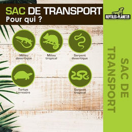 Reptiles Planet Stoff-Transporttasche für Schlangen und Schildkröten in Beige – Bild 1 von 5