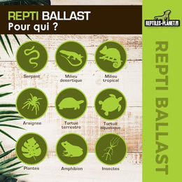 Reptiles Planet T5 Reptilien Beleuchtung 54 W Schwarz - 1 Stk. – Bild 1 von 3