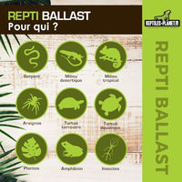 Produktbild von Reptiles Planet T5 Reptilien Beleuchtung 54 W Schwarz - 1 Stk.